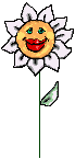 Sonnenblume